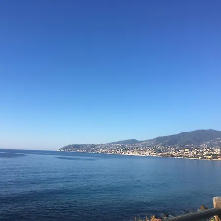 Festival's San Remo