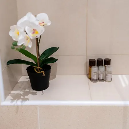 Festival's Апартаменти